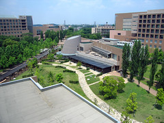 東京外国語大学